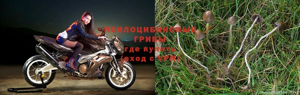мескалин Армянск