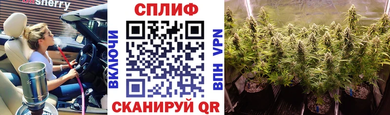 где продают   Пугачёв  МАРИХУАНА планчик 
